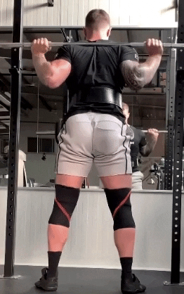 giphy.gif