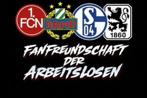 Rapid Wien Austria GIF