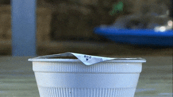 Cat Noodle GIF