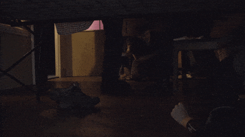 ellismonk5  GIF