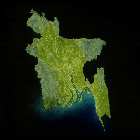 Bangladesh Flag Godzilla GIF