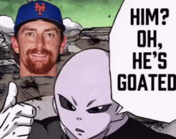 New York Mets GIF