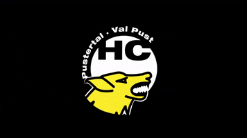 Hockey Ice GIF by HC Pustertal Wolves