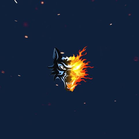 BruleursDeLoups GIF