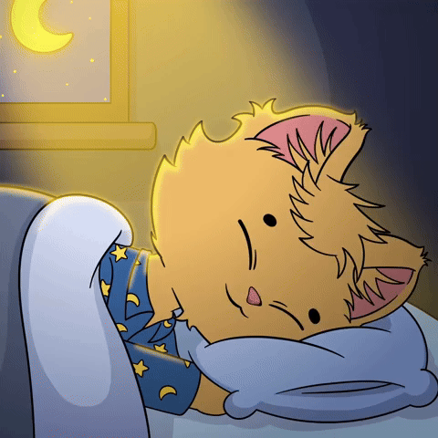 Night GIF