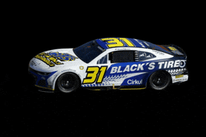 Auto Racing Nascar GIF by Blacks Tire and Auto
