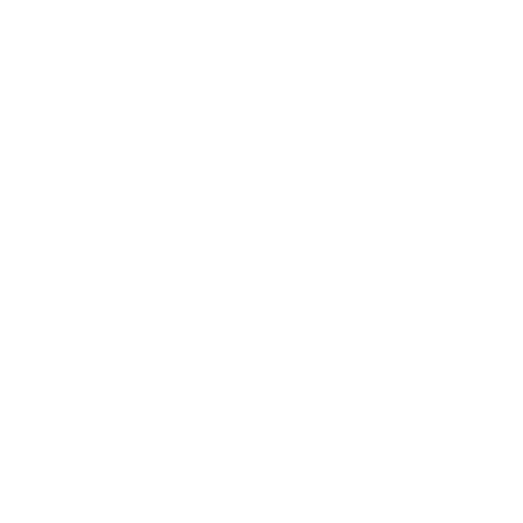 Rosa New York Sticker