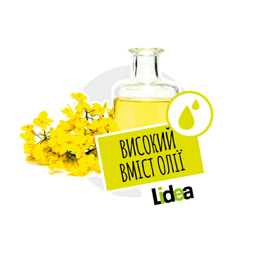 Lidea Seeds Sticker