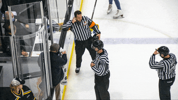 Clothesline Oops GIF by Brandon Wheat Kings