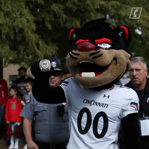 College Football Ncaa GIF by Cincinnati Bearcats
