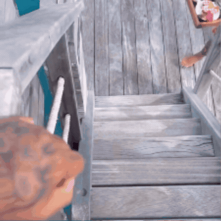 Dayvonross GIF by dave