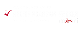 Hana Maori Sticker by MāoriParty