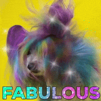 Fabulous-hair GIFs - Get the best GIF on GIPHY Fabulous-hair GIFs - Get the best GIF on GIPHY