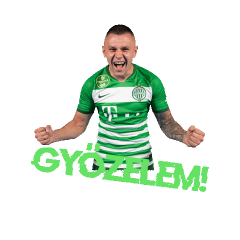 Groupama Arena Sticker
