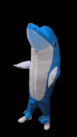 GIF by fomhochschule