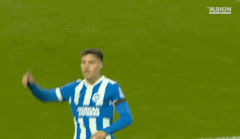 Football Brighton GIF