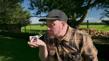 Cow Love GIF by ASB Bank