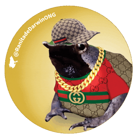 Darwins Frog Trap Sticker by Ranita de Darwin ONG