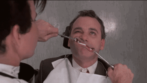 Dentist GIF - Find & Share on GIPHY