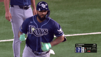 Tampa Bay Rays Sport GIF by MLB