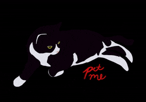 I Dare You Tuxedo Cat GIF by ndf