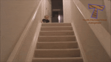 mateuszmokrynka  GIF