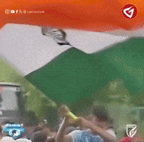 Indian Football GIF