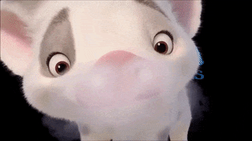 Pig Hello GIF by Trauminsel Reisen