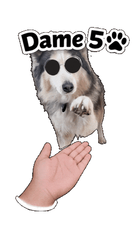 Mano Dame5 Sticker