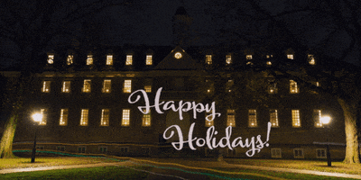 Wren Building Lights GIF by William & Mary