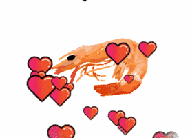 Shrimp GIF