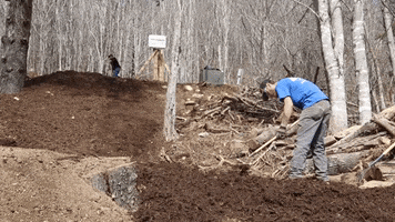 Working Hard Yard Work GIF by JC Property Professionals