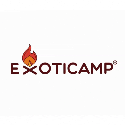 GIF by Exoticamp