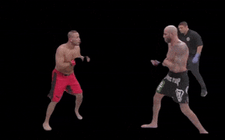 GIF by The Hive MMA