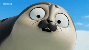 Seal GIF