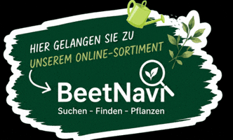 Beetnavi.com GIF