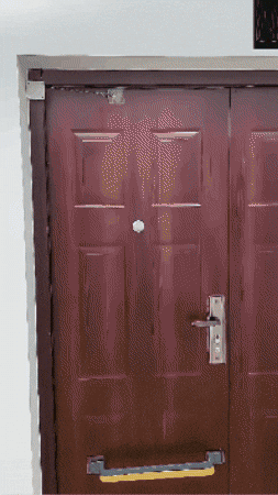 GIF Animado