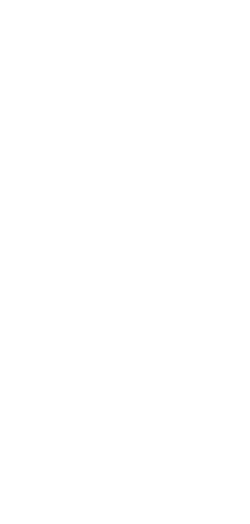 Salon Gemini Sticker