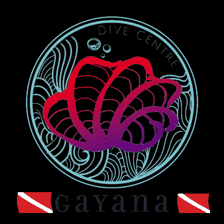 gayanadivecentre GIF
