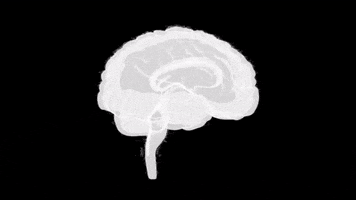 200.gif?cid=fc005b082f5cd635fdee2633fba9984ad8ec4f9afbbdd969&rid=200.gif&ct=g
