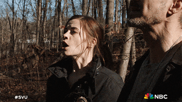 Angry Season 24 GIF by Law & Order