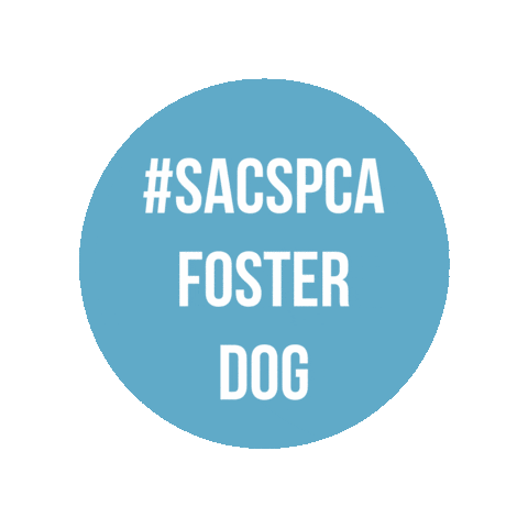 Foster Dog Sticker by Sacramento SPCA