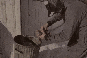 Mask Panda GIF by chrixmorix