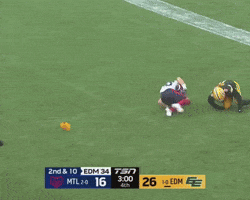 Celebration GIF