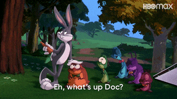 Looney Tunes Animation GIF by HBO Max