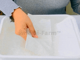 GIF by Mini-Farm Grow Kits