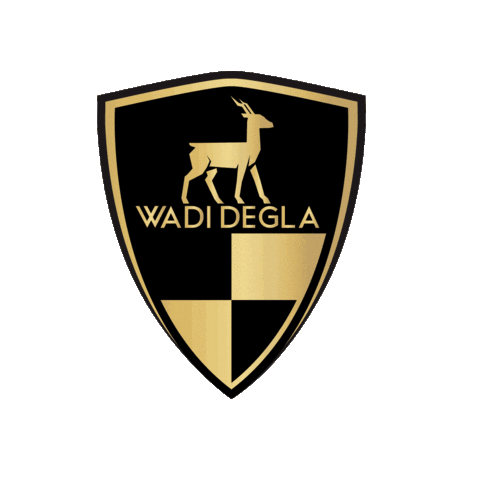 Wadi Degla 20 Years Sticker by Wadi Degla Clubs