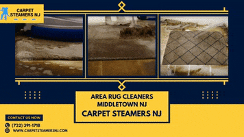 Area Rug Cleaners Middletown Nj GIF