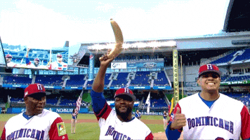 Dominican Republic Dr GIF by MLB
