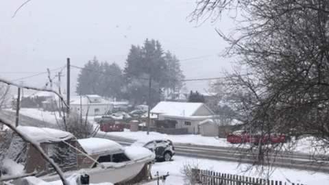 Winter GIF - Find & Share on GIPHY
